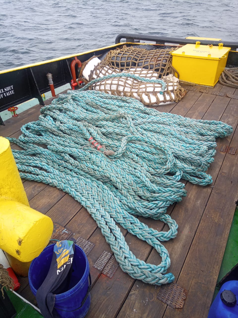 WhatsApp Image 2024-02-07 at 08.44.01_c49a0581