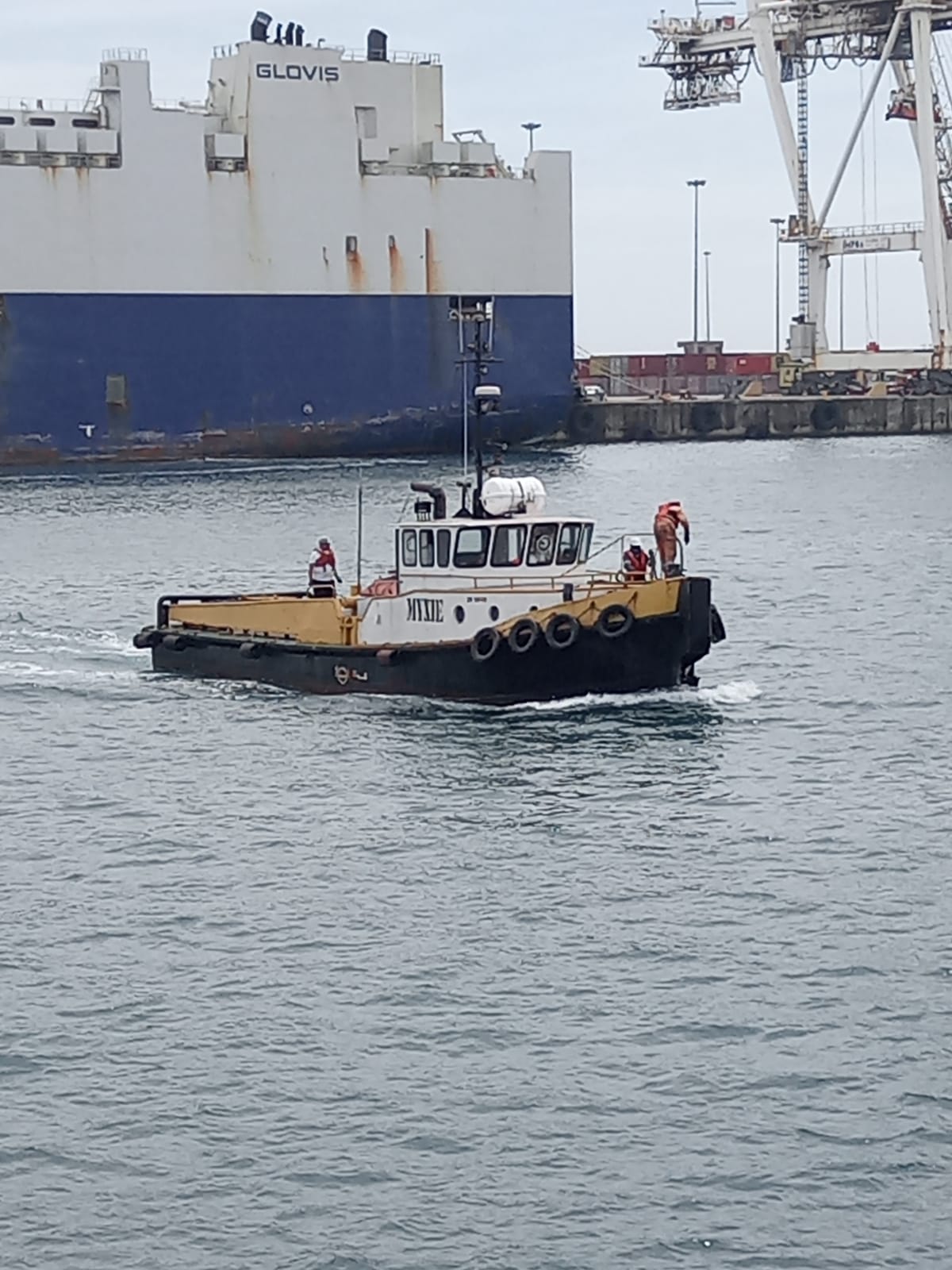 WhatsApp Image 2024-08-15 at 20.00.22_3526d380